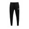 Puma ESS 2 Col Logo Pants TR (586768-95)