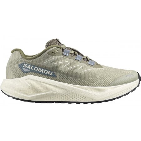 Salomon AERO BLAZE 3 GRVL  (492179)