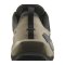Salomon Elixir GTX Gore-Tex Peat/Vintage Khaki/Castlerock shoes (476974)