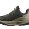 Salomon Elixir GTX Gore-Tex Peat/Vintage Khaki/Castlerock shoes (476974)