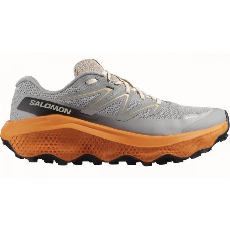 Salomon ULTRA FLOW 2 GORE-TEX  (478842)