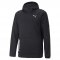 Puma TRAIN ALL DAY PWRFLEECE HOODIE (522340-01)