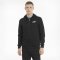 PUMA ESS SMALL LOGO FULL ZIP (586702-01)