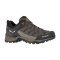 SALEWA MOUNTAIN TRAINER LITE GORE-TEX® MEN'S SHOES  (61361-7512)