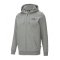 PUMA ESS SMALL LOGO FULL ZIP (586702-03)