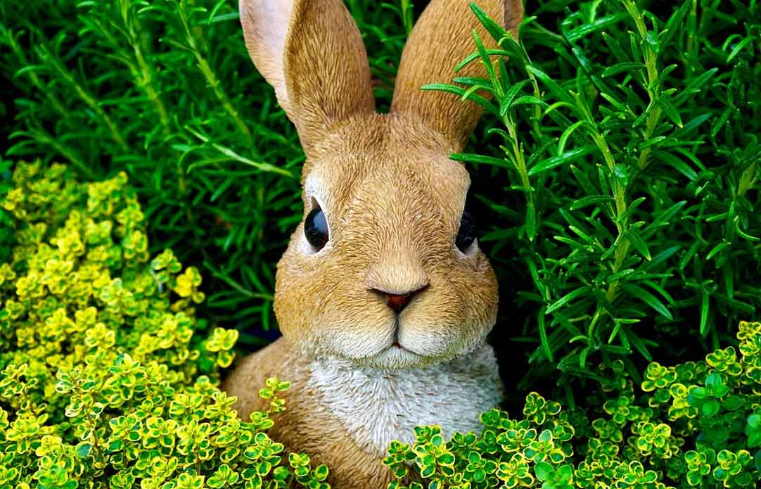 7 Easter