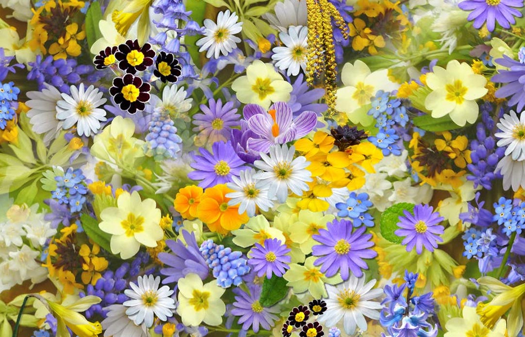 2 Flowers